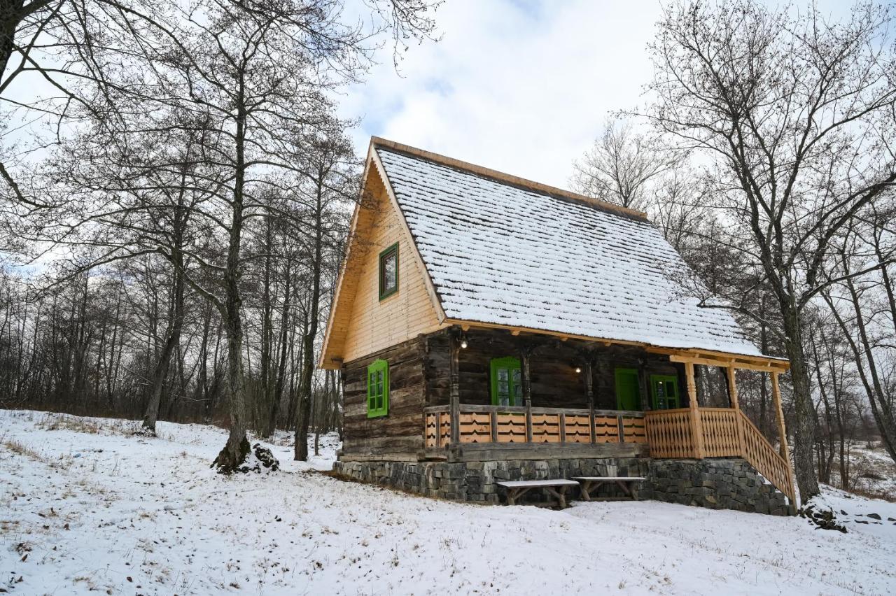 Willa Casa Trifoi - Poiana Creasta Cocosului Breb Zewnętrze zdjęcie